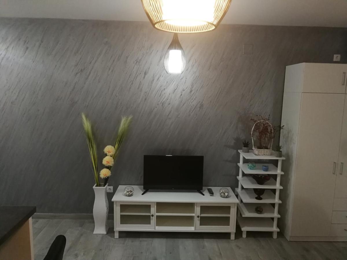 Danica Apartamento Sremska Mitrovica Exterior foto